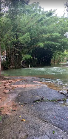 Rio de águas rasas correndo sob uma passagem de bambus, com laje de pedra em primeiro plano, na Estrada Geral São Tomaz, Imaruí/SC